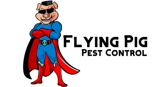 flying pig pest control hamilton ohio